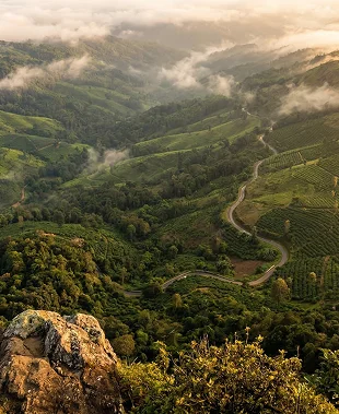 Sakleshpur Town Center